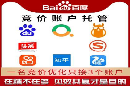 百度推广的成功案例：从零到一的突破